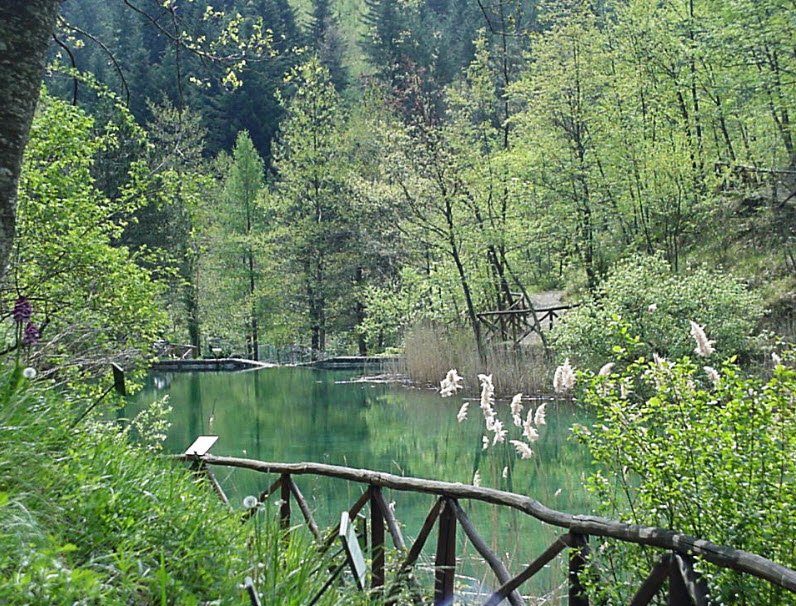 Giardino Botanico di Valbonella, Italy